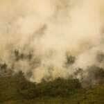 Mato Grosso mobiliza força-tarefa para combater incêndios florestais em diversas regiões