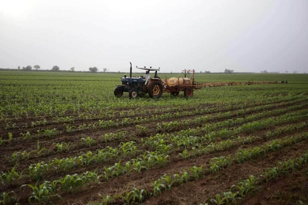 Proibição do glifosato pode provocar prejuízo bilionário e ameaça sustentabilidade do agro