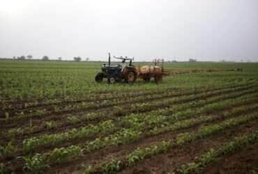Ministério Público quer fim do Glifosato em Mato Grosso e tribunal debate alcance da decisão
