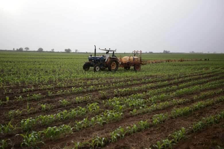 Ministério Público quer fim do Glifosato em Mato Grosso e tribunal debate alcance da decisão