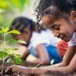 MEC trabalha em ações para fortalecer a educação ambiental - Foto: Freepik