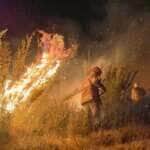 Mato Grosso sofre com a pior seca em décadas e incêndios se alastram pelo estado