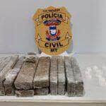 Polícia Civil apreende 13 tabletes de maconha em Tapurah_66648ee2025a1.jpeg