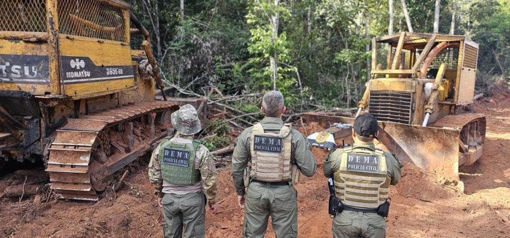 policia civil intensifica repressao a crimes ambientais com 30 operacoes em cinco meses interna 1 2024 06 06 1767169679