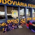 Mais de 700 kg de maconha apreendidos e veículo furtado recuperados pela PRF em Rondonópolis/MT