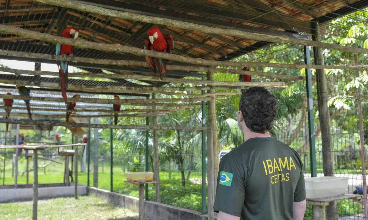 Ibama apura maus-tratos em centro de triagem de animais silvestres Por: Divulgação/Ibama