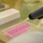 São Paulo - Pesquisadores Jean Pierre Schatzmann Peron e Patricia Baleeiro Beltrão Braga falam sobre pesquisa da USP referente ao Zika virus (Rovena Rosa/Agência Brasil)