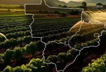 Irrigação em Mato Grosso: potencial gigante travado pela falta de energia elétrica