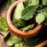Bay Leaf on a Wooden Surface - Fotos do Canva