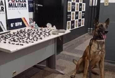 Cão farejador do Gefron auxilia na apreensão de drogas em Mato Grosso
