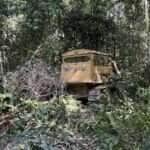 Sema embargou 300 mil hectares em Mato Grosso em 2024, a maior parte em 10 cidades