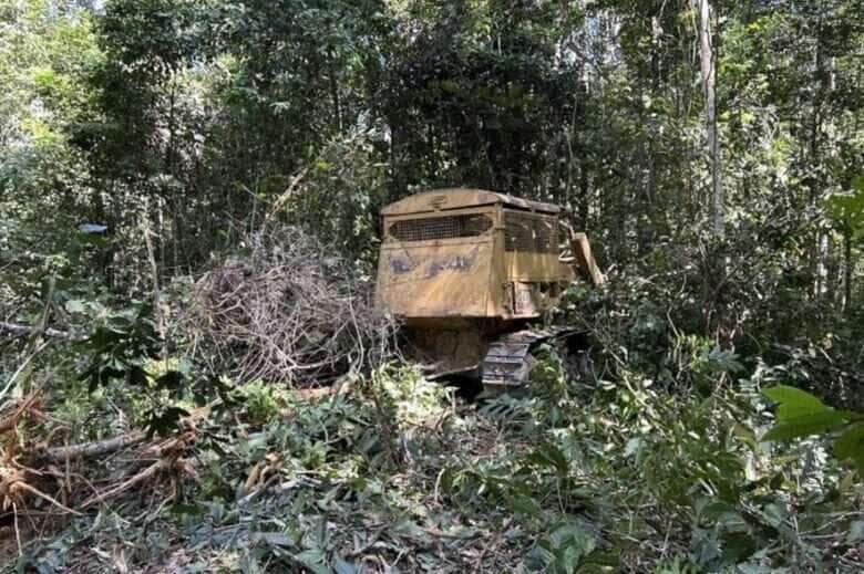 Sema embargou 300 mil hectares em Mato Grosso em 2024, a maior parte em 10 cidades