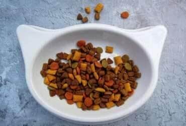 Suplementos podem fazer parte da dieta dos pets