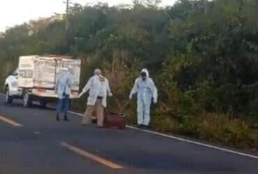 Corpo de menor desaparecido é encontrado às margens de rodovia em Deciolândia (MT)