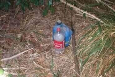Trabalhador rural encontrado morto em área de mata em Lucas do Rio Verde