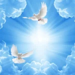 Anjo da guarda
