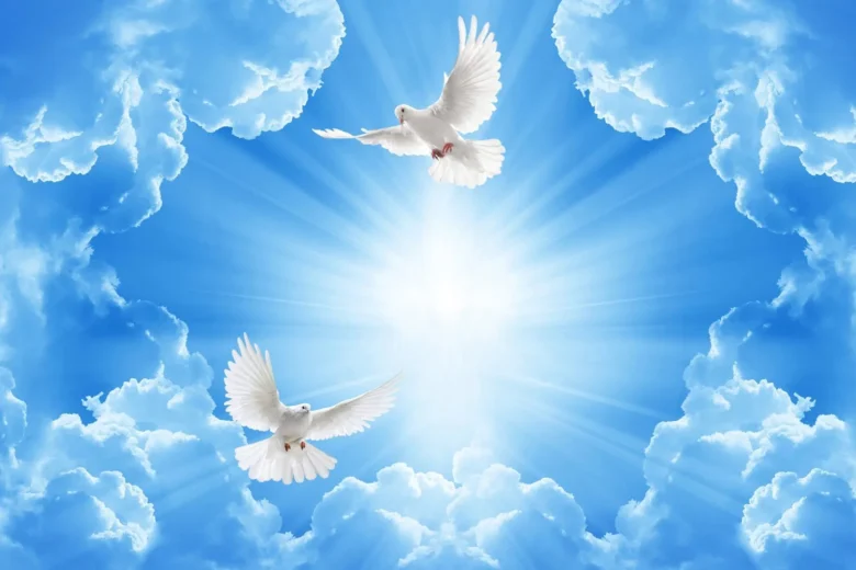 Anjo da guarda