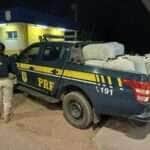 Mais de duas mil peças de roupas falsificadas apreendidas pela PRF na BR-070 em Poconé