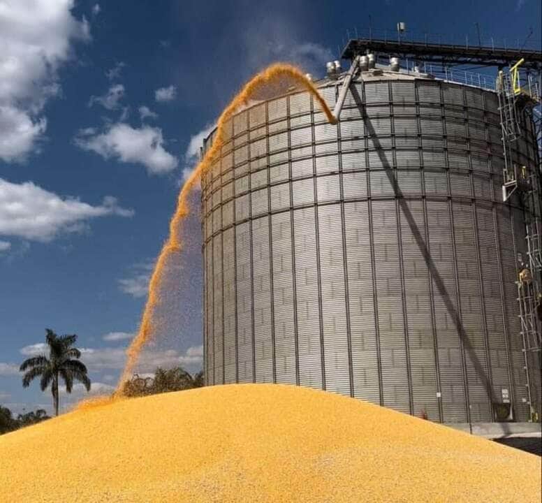 Para a safra 2023/24, é esperado que Mato Grosso produza 89,9 milhões de toneladas de grãos  - Foto por: Assessoria/Sedec