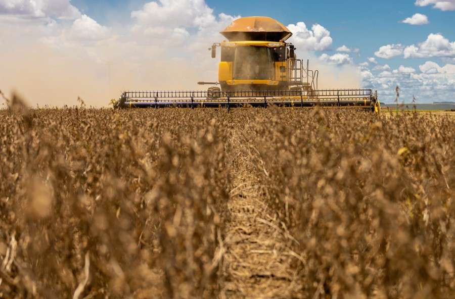 Mato Grosso prevê crescimento nas exportações de Soja em 2024/25 2 colheita soja