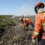 Produtores unem forças para combater chamas