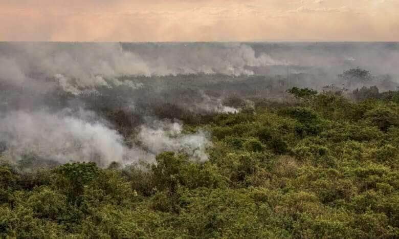 O fogo volta a ameaçar a rica biodiversidade da região