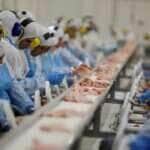 producao industrial cai 09 em maio diz ibge capa 2024 07 03 2024 07 03 1263719591
