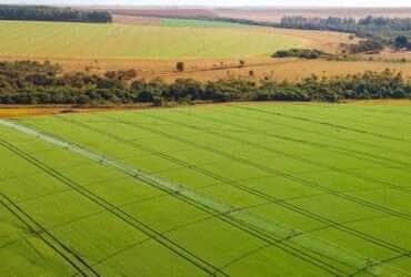 propriedade rural plantacao pivo