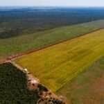 Mato Grosso entrega mais de 12 mil títulos de propriedade na 2ª edição da semana Solo Seguro