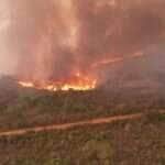 Bombeiros de Mato Grosso combatem 36 incêndios florestais nesta segunda-feira (30)