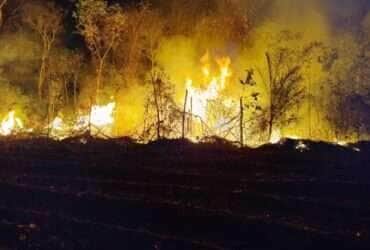 Incêndio ameaça aldeia Umutina no Pantanal e mobiliza bombeiros