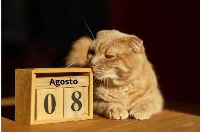 Agosto