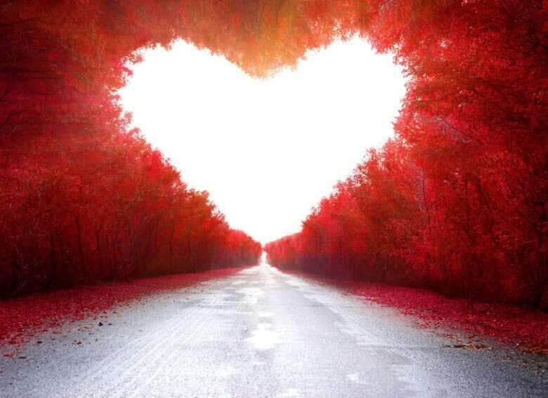 Amor - Fotos do Canva