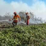 Bombeiros combatem 20 incêndios florestais em Mato Grosso nesta quarta-feira (21)