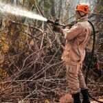 Mato Grosso discute estratégias de combate a incêndios em evento com especialistas