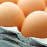 Eggs in a Package - Fotos do Canva