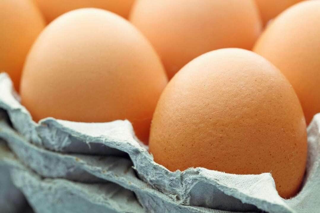Eggs in a Package - Fotos do Canva