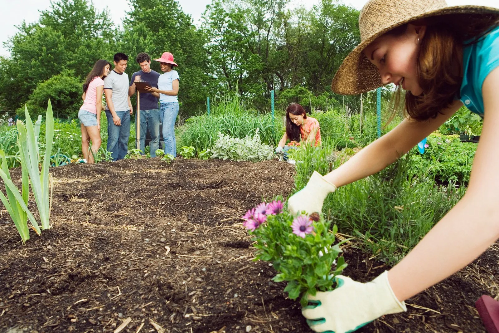 Hortas Comunitárias: Plantando sementes de uma vida mais verde e saudável 10 Hortas Comunitárias2