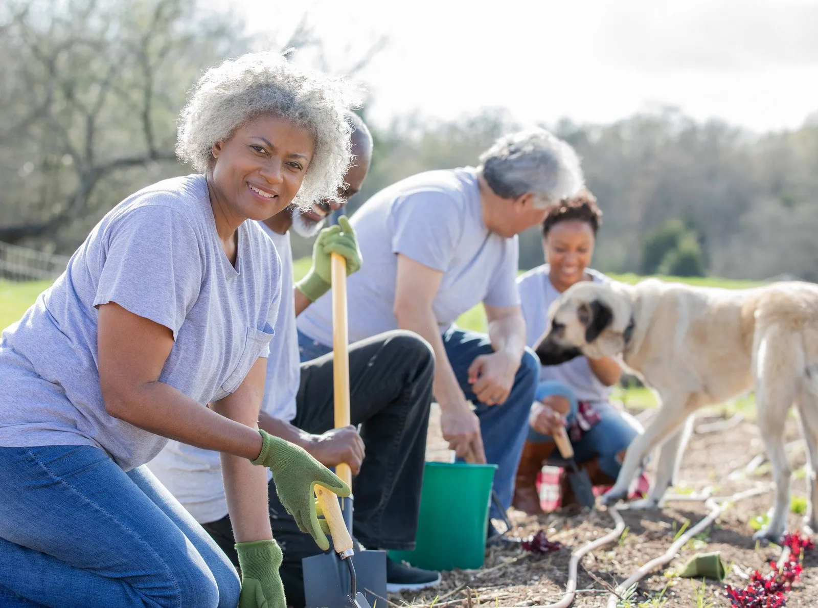 Hortas Comunitárias: Plantando sementes de uma vida mais verde e saudável 4 Hortas Comunitárias4