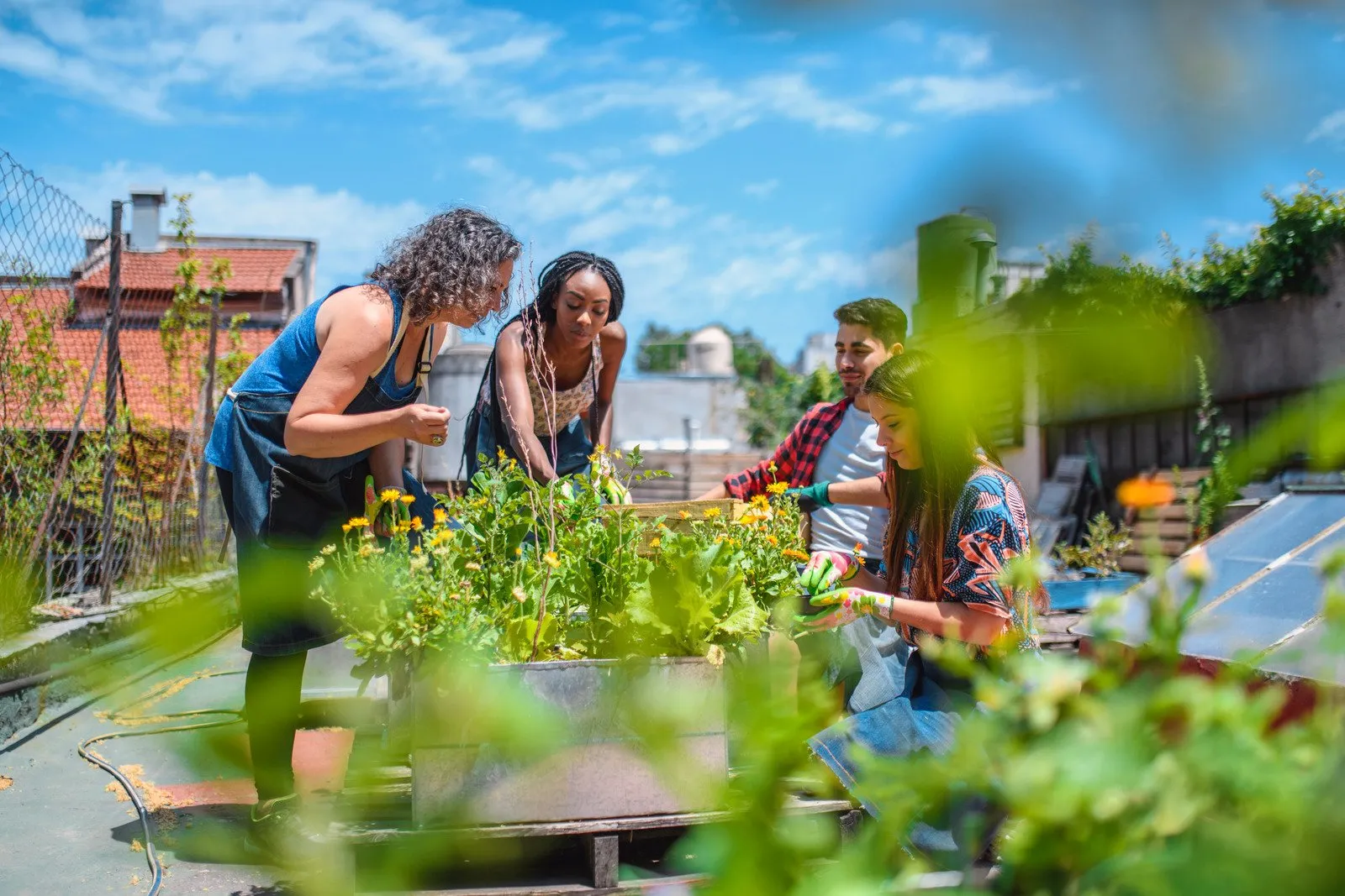 Hortas Comunitárias: Plantando sementes de uma vida mais verde e saudável 2 Hortas Comunitárias6