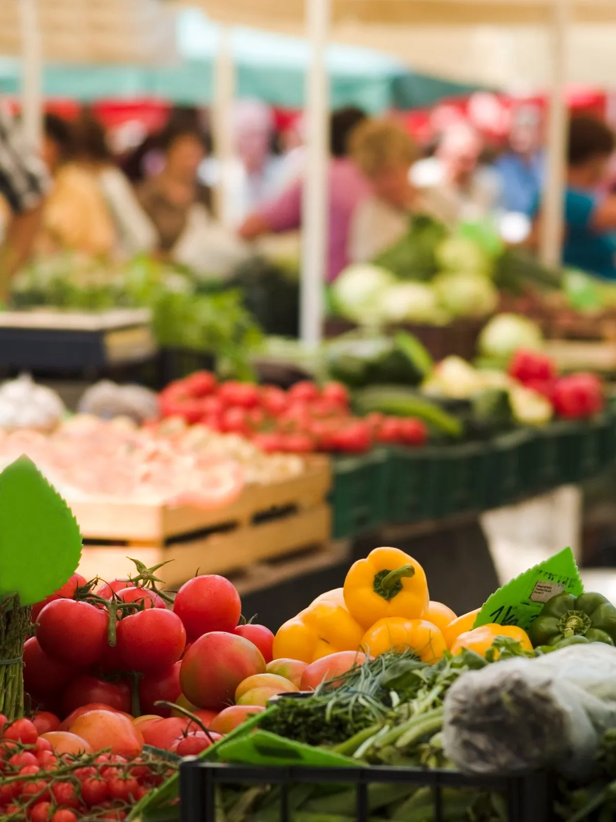 Hortas Comunitárias: Plantando sementes de uma vida mais verde e saudável 7 Hortas Comunitárias8