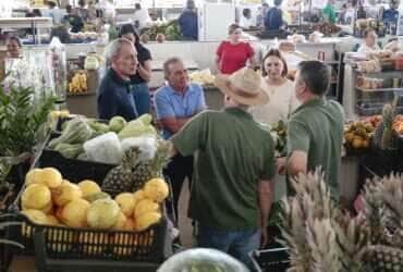 Mercado do Produtor 4427