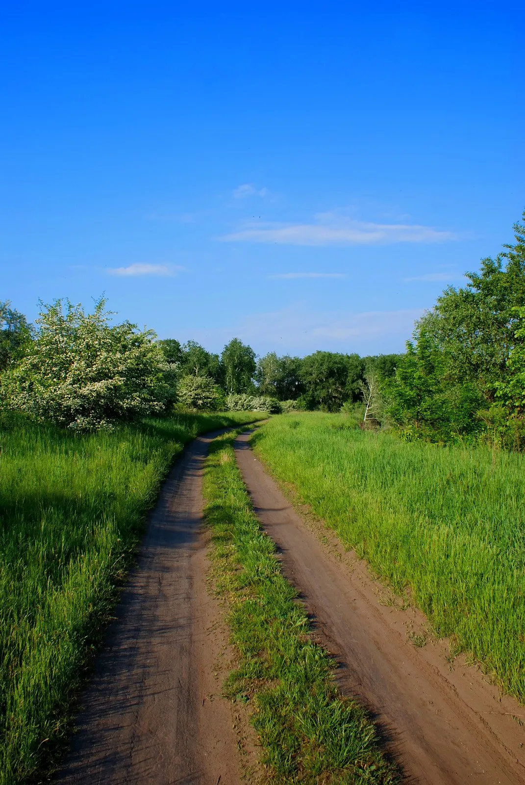 Turismo Rural - Foto Canva2