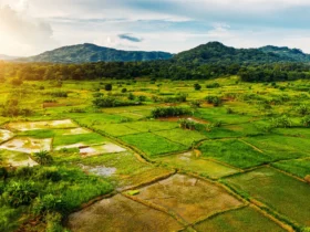 Turismo Rural - Foto Canva4