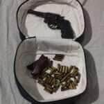 Guarda Civil e Raio apreendem homem com arma e munições em Lucas do Rio Verde