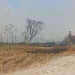 WhatsApp Image 2024 08 15 at 08.32.46
