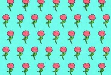 apenas um genio encontrara uma rosa estranha em 5 segundos um enigma para verificar a atencao plena imagem 1 1065994715