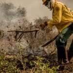Ministro de Estado do Meio Ambiente, Sr. Ricardo de Aquino Salles faz verificação das atividades de combate ao incêndio no Pantanal Por: Christiano Antonucci /Secom - MT
