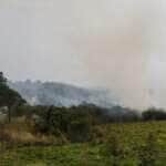 São Paulo (SP) 24/08/2024 - Foco de incêndio próximo a rodovia presidente Castelo Branco, o governo de São Paulo cria gabinete de crise para combate a incêndios Estradas são interditadas e 30 municípios estão em alerta máximo Foto: Paulo Pinto/Agência Brasil