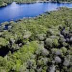 Desmatamento na Amazônia cai em junho, mas Mato Grosso acumula alta anual